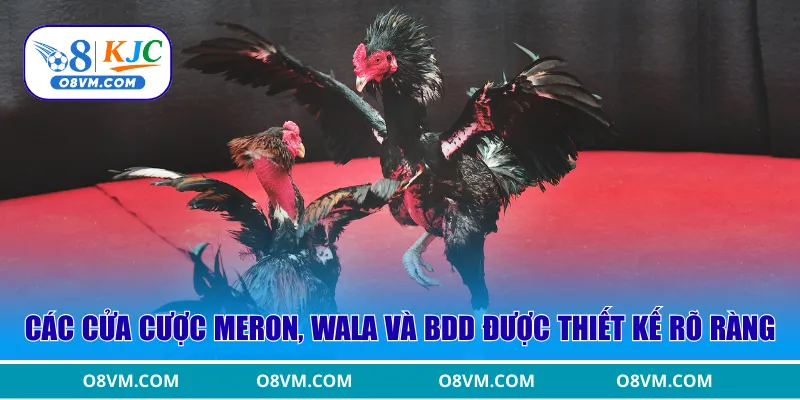 Các cửa cược Meron, Wala và BDD được thiết kế rõ ràng