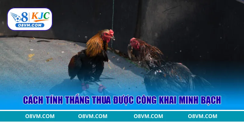 Cách tính thắng thua được công khai minh bạch
