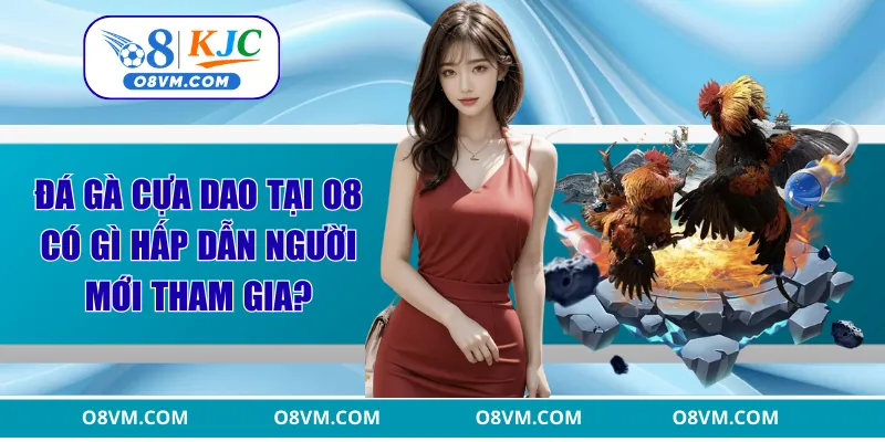 Đá gà cựa dao