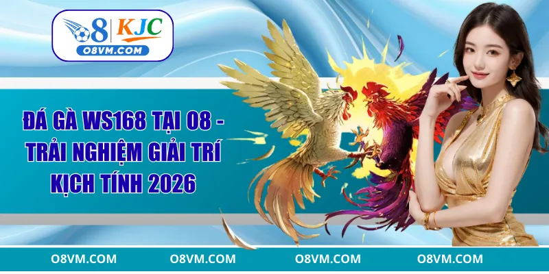Đá gà WS168