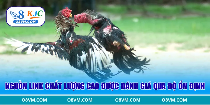 Nguồn link chất lượng cao được đánh giá qua độ ổn định