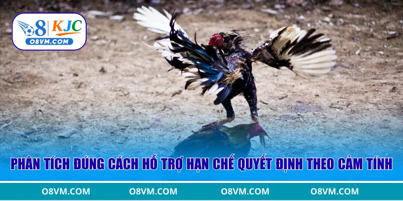 Phân tích đúng cách hỗ trợ hạn chế quyết định theo cảm tính