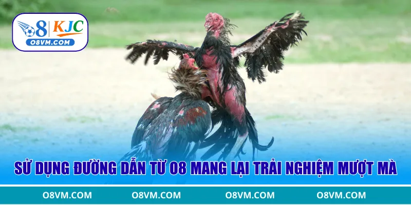 Sử dụng đường dẫn từ O8 mang lại trải nghiệm mượt mà