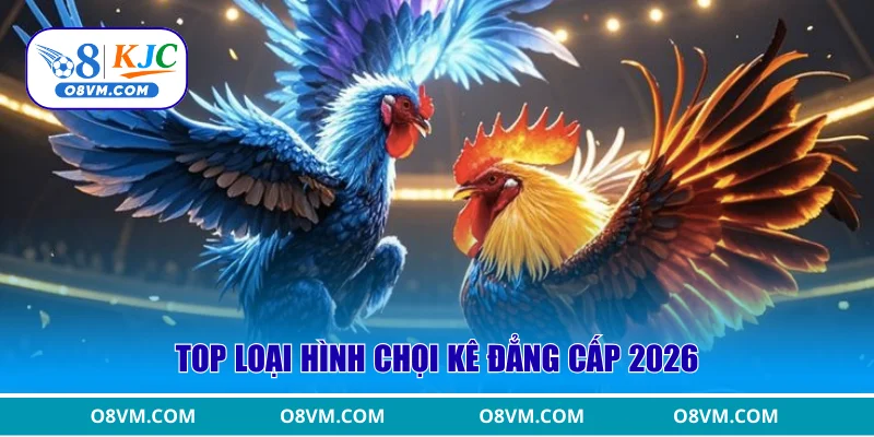 Top loại hình chọi kê đẳng cấp 2026